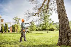 Best Utility Line Clearance  in Homeland Park, SC